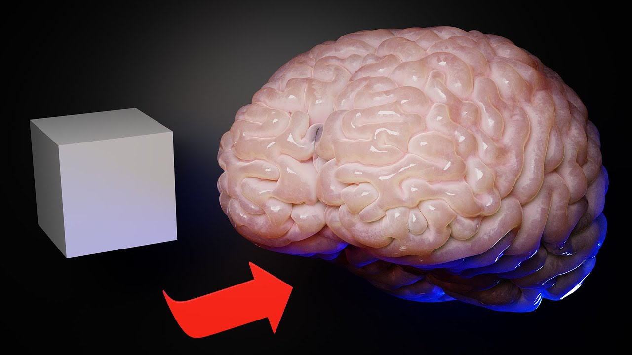 How To Make a Brain in Blender