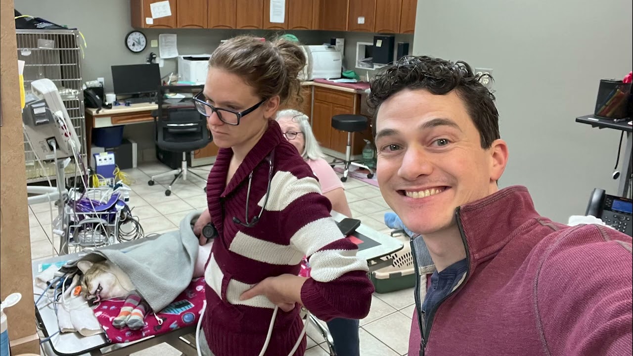 SDEP® Abdomen Hands-On & LIVE Virtual Ultrasound Training Lab