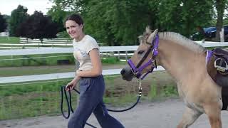 STRESS-FREE WAY TO INTRODUCE A SADDLE, BRIDLE, BIT & BOOTS | VLOG
