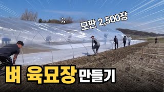 벼 농사 - 육묘장 만들기 (모내기 준비 과정)