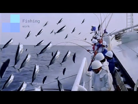 Great Fast Tuna Fishing Skills, Too Much Fish || Amazing Giant Longline Bluefin Tuna Fishing