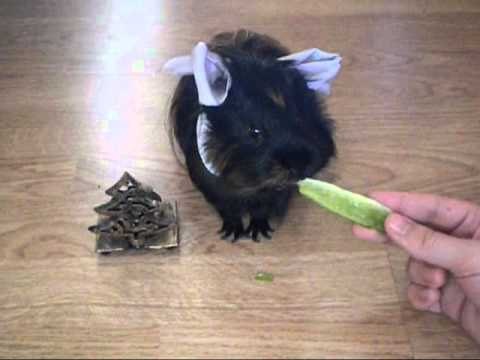 Waldemar wishes you...