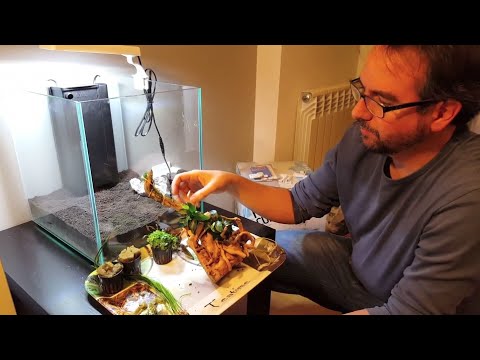 Watch Video on YouTube