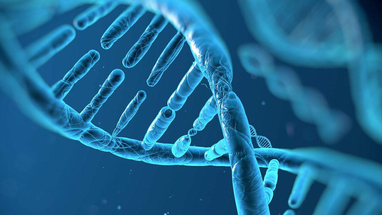 Sistema Antioxidante