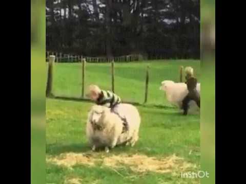 УТРЕННИЙ БОДРЯЧОК!!!