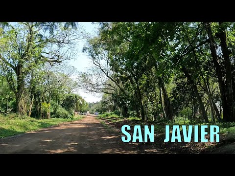 Verde paraíso bordeando el Uruguay por la ruta 2 llegando a San Javier, Misiones 🖐😍