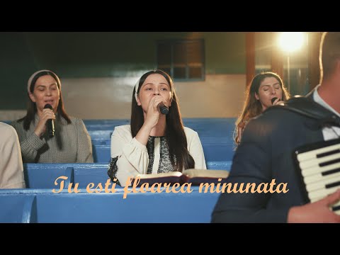 Tu esti floarea minunata - Cantari vechi cu Gabriel Gorcea si Prietenii LIVE -  2025