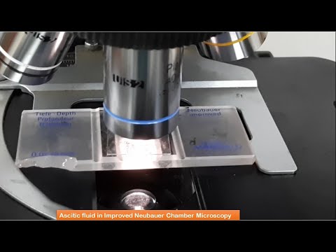 Cell counting of body fluid through Improved Neubauer Chamber Demonstrations