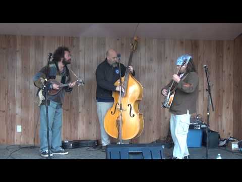 Flatland Harmony Experiment