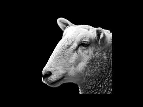 Robot Needs Oil   Ganja Tune Mollono Bass & Ava Remix