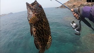 Câu Cá Biển | Câu Cá Mú, Mó cùng cảnh đẹp Hòn Sẹo - Nhơn Lý | fishing grouper Câu Cá Biển | Câu Cá Mú, Mó cùng cảnh đẹp Hòn Sẹo - Nhơn Lý | fishing grouper