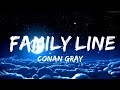 Conan Gray Family Line Lyrics All That I Did To Try To Undo It 30mins Feeling Your Music