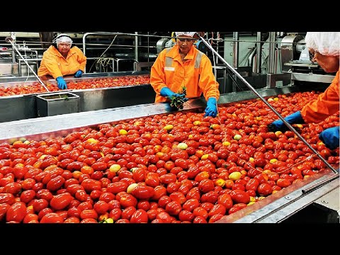download lagu mp3 mp4 Tomato Juice Factory, download lagu Tomato Juice Factory gratis, unduh video klip Tomato Juice Factory