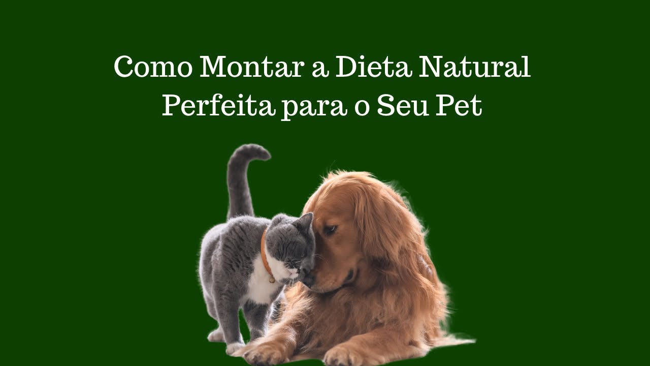 Como montar a alimentação natural para o seu pet?