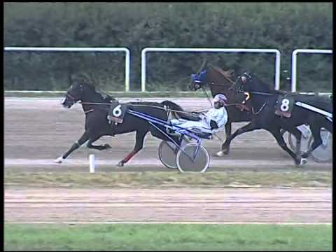 Trotto 26/10/2014 - 2° corsa