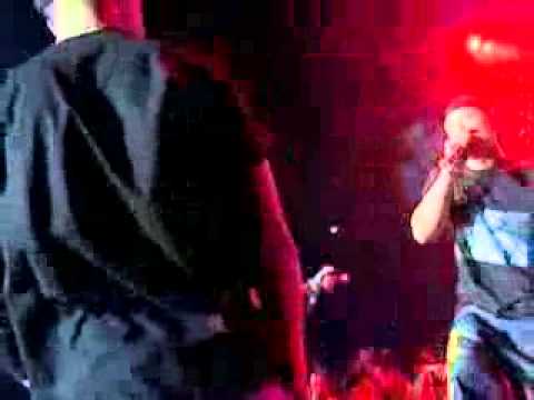 Brat'ya Pradd dvigajsya rovno!