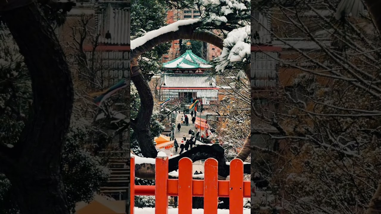 【清水観音堂】雪景色がまるで京都