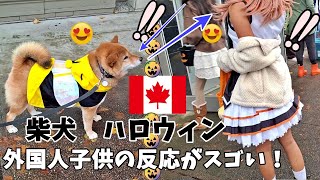 【海外愛され柴犬】海外で大人気! 柴犬を連れて歩くとカナダ人子供の反応がおもしろすぎ♪【海外の反応】ハロウィン仮装イベント編