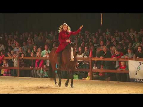 Hero Merkel - Dressage