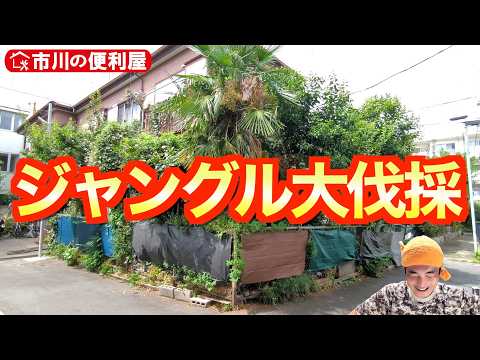 園芸 乾燥した木の伐採材