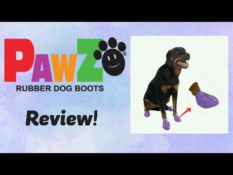 Pawz Rubber Dog Boots Review | Service Dog Gear Tips