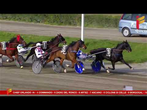 V Corsa del 11 marzo 2023 -  5 Anni ed oltre - Metri 2000 - Gara Centrale