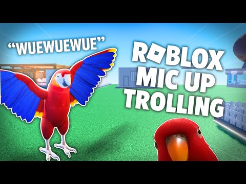 Trolling as a PARROT on ROBLOX | Roblox Voice-Chat Trolling