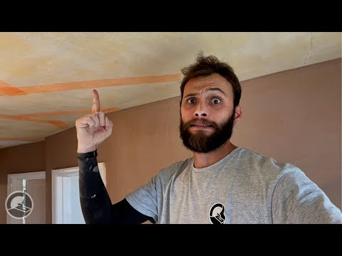 Dreaded Distemper | Plasterers Kryptonite