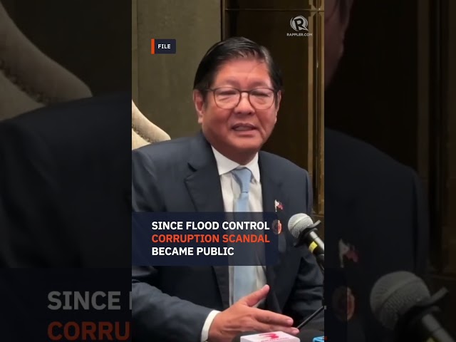Marcos: Zaldy Co stopped in Germany, returned to Czech Republic 