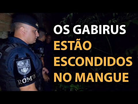 ROMU enters the forest hunting bandits, see what happened.