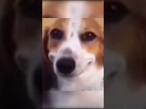 MW2 BUT WILLIAM KNIFEMAN MAKES IT BETTER #shorts