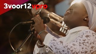 Daymé Arocena - 3voor12 Session | Motel Mozaïque 2017
