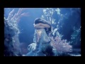 Message In A Bottle To Little Mermaid S Sisters
