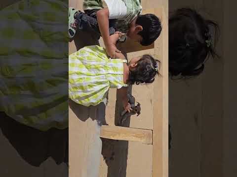 Kanav-Bhavi’s cutest moment with a friendly dog 🥹🐶, #youtubeshorts #cute #shorts #animals #funny