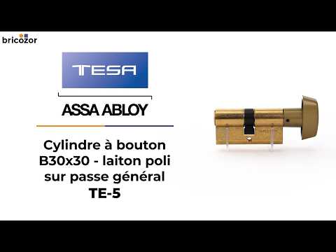Cylindre à bouton TE-5 sur passe général - laiton poli TESA Sécurité