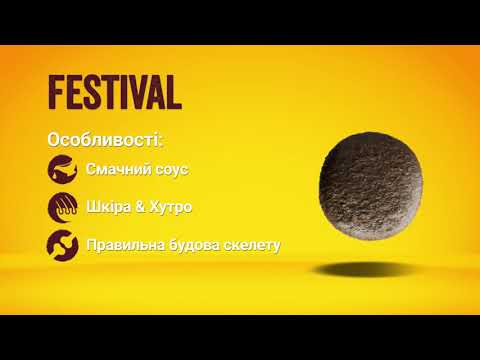 Сухой корм для взрослых собак JOSERA Festival 12.5кг - фото 1 - id-p2748030840