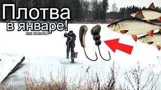 Ссылка