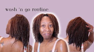 CHILL WASH DAY & MUST SEE WASH AND GO!!!! |Heyknottygirl Hair