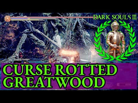 DARK SOULS 3 How to beat Curse Rotted Greatwood - Dark Souls II Guide
