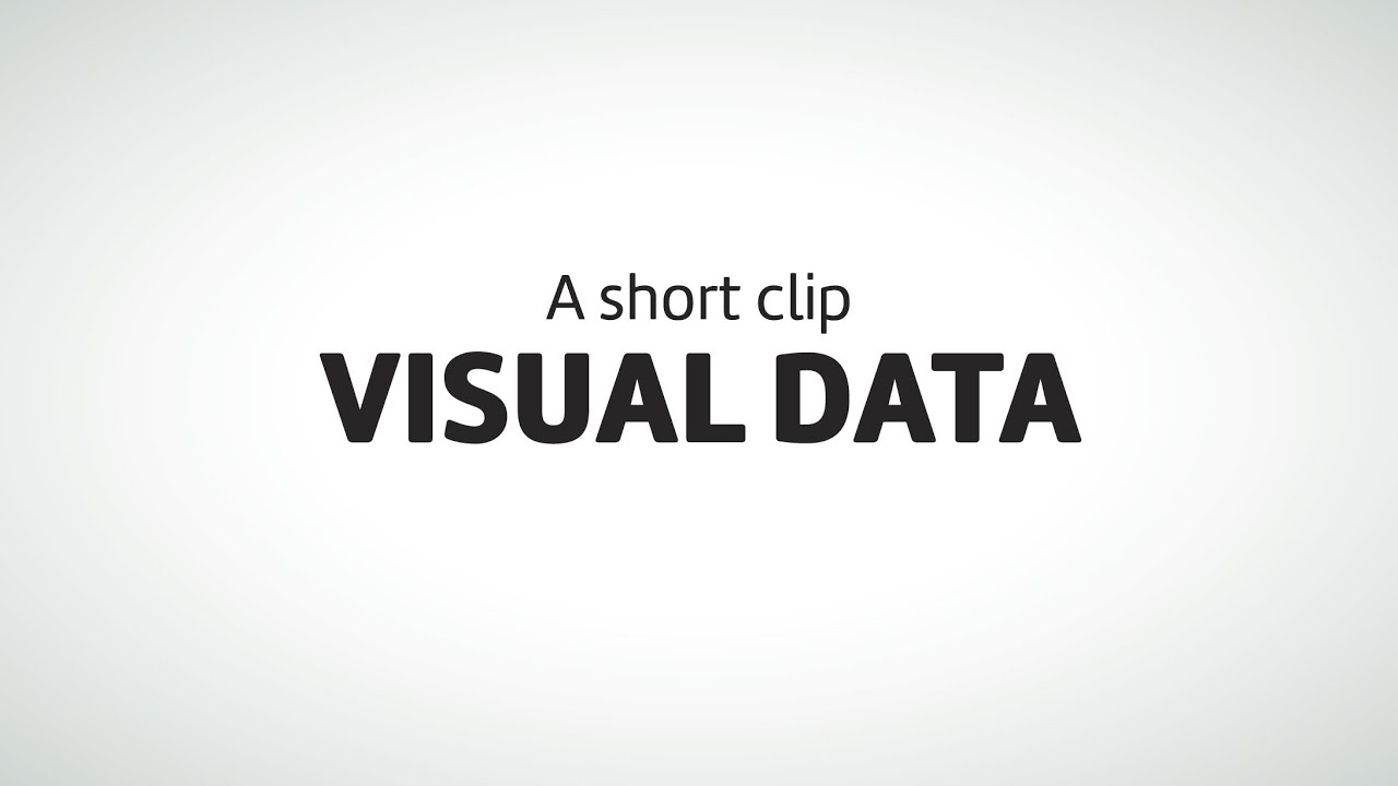 VISUAL DATA