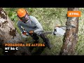 Podadora de Altura Stihl HT56C | Video