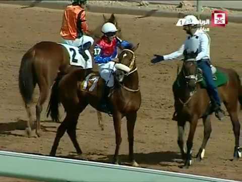 نهائي دوره كاس عزالخيل 22 في نوفا 2017/04/22م السبت