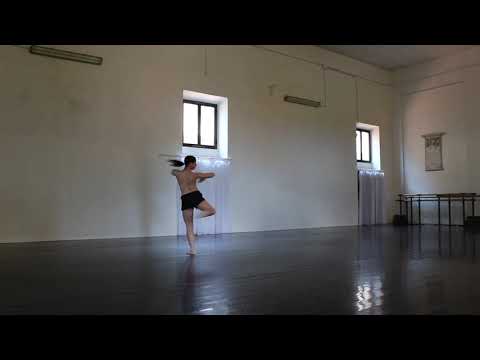 Denise Rigato contemporary