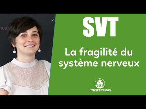 La fragilité du système nerveux - Les Bons Profs