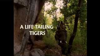 preview picture of video 'A Life Tailing Tigers - Canal+ & Discovery Channel with Francois Savigny #part1'