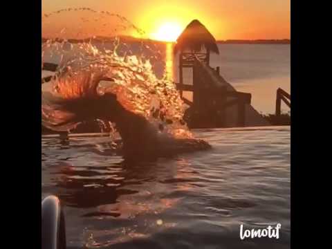 Villas for rent and sale Punta del Este, Jose Ignacio IG: @dariapuntadeleste