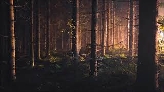 Airstream - Land of Dreams (Escape Mix) 1 Hour