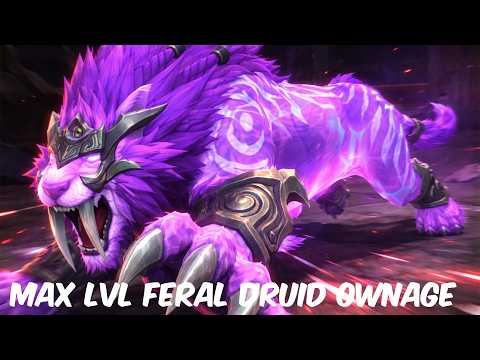 MAX LVL FERAL LETS GO! - Feral druid pvp midnight