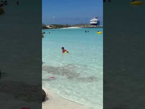Thumbnail for Half Moon Cay Carnival Sunrise