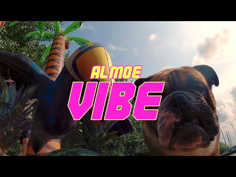 ALMOE - VIBE 🌴🍍🦩🍉☀️